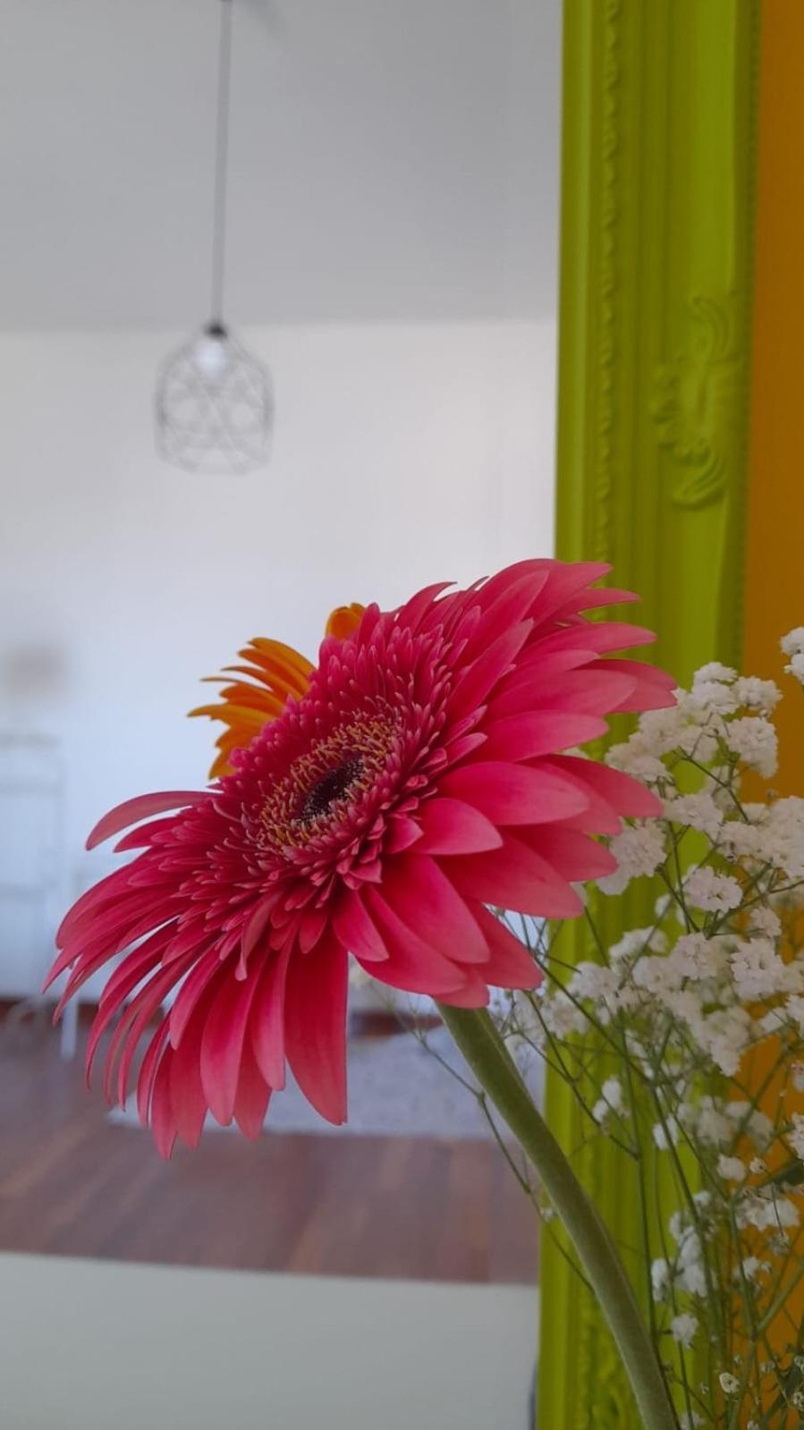 Sole Amare Guest House Bari Esterno foto